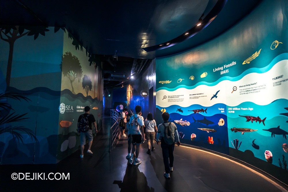 SEA Aquarium at Resorts World Sentosa 2024 5 School of Fish Info Walls