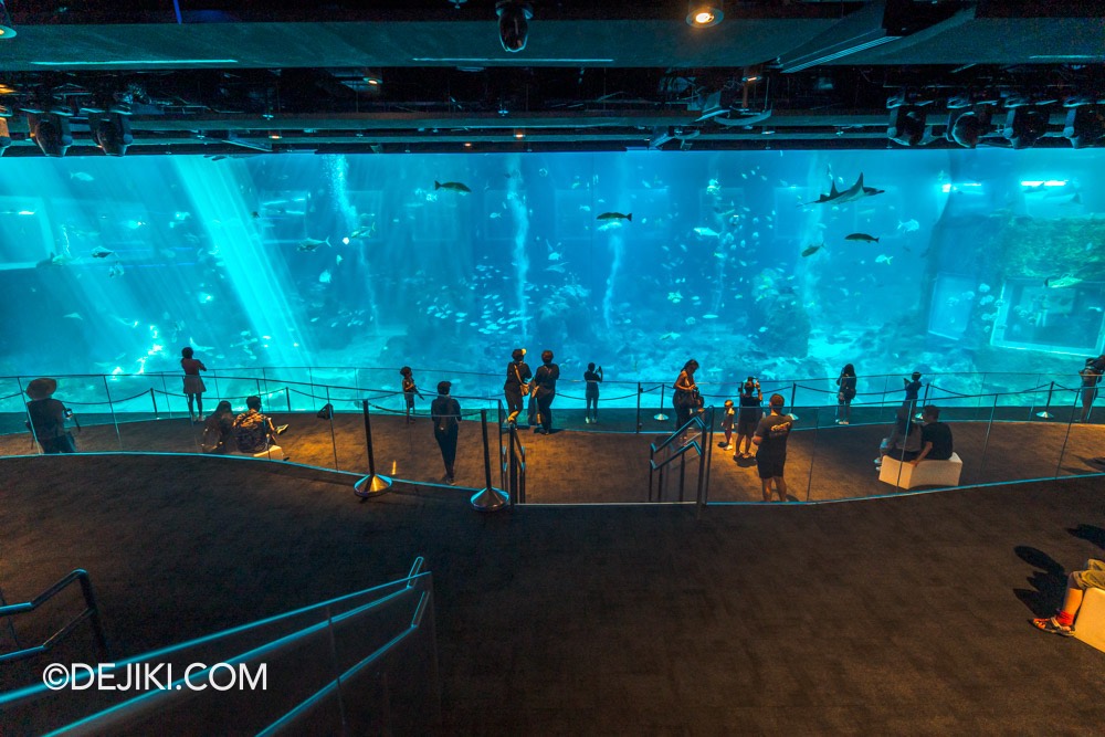 SEA Aquarium at Resorts World Sentosa 2024 8 Open Ocean Habitat with new viewing gallery 1