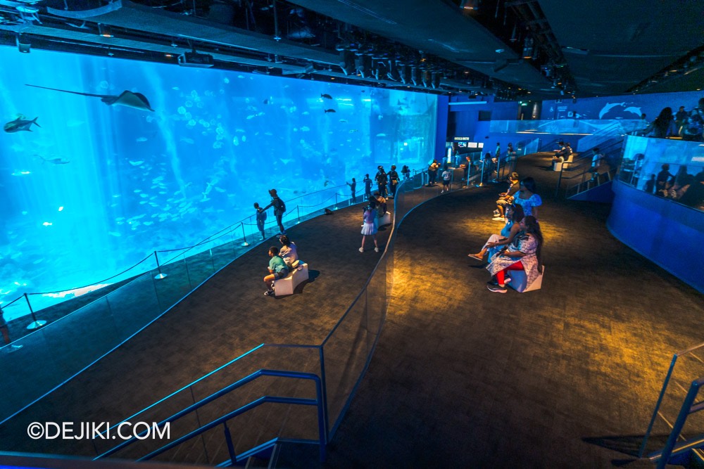 SEA Aquarium at Resorts World Sentosa 2024 8 Open Ocean Habitat with new viewing gallery 2 side