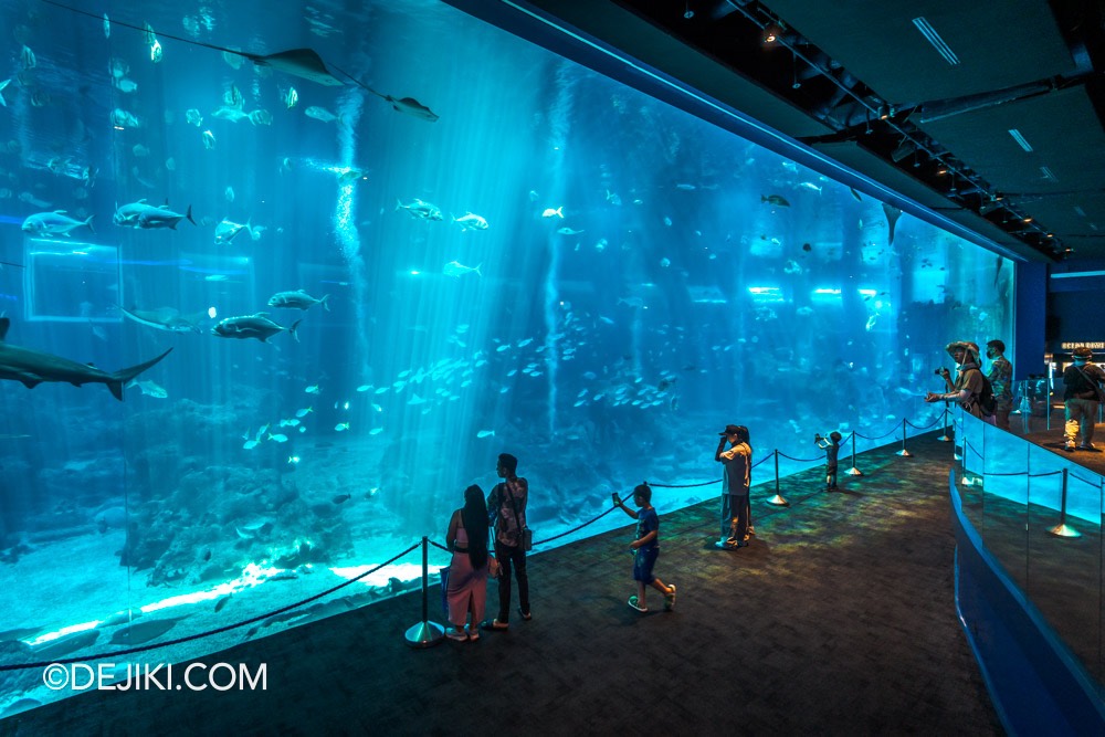 SEA Aquarium at Resorts World Sentosa 2024 8 Open Ocean Habitat with new viewing gallery 3 grand