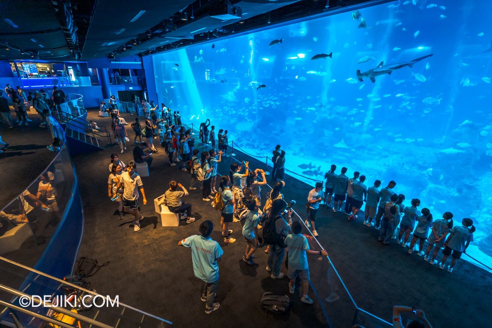 SEA Aquarium at Resorts World Sentosa 2024 8 Open Ocean Habitat with new viewing gallery 4 crowded