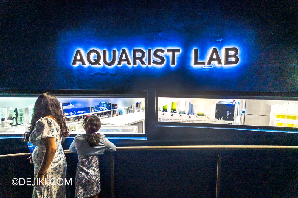 SEA Aquarium at Resorts World Sentosa 2024 9 Aquarist Lab gallery