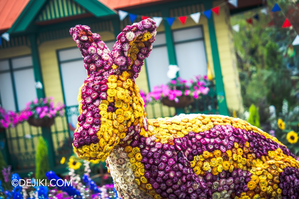 Gardens by the Bay Carnival of Flowers Australian Themed Floral Display 7 Kangaroo Closeup