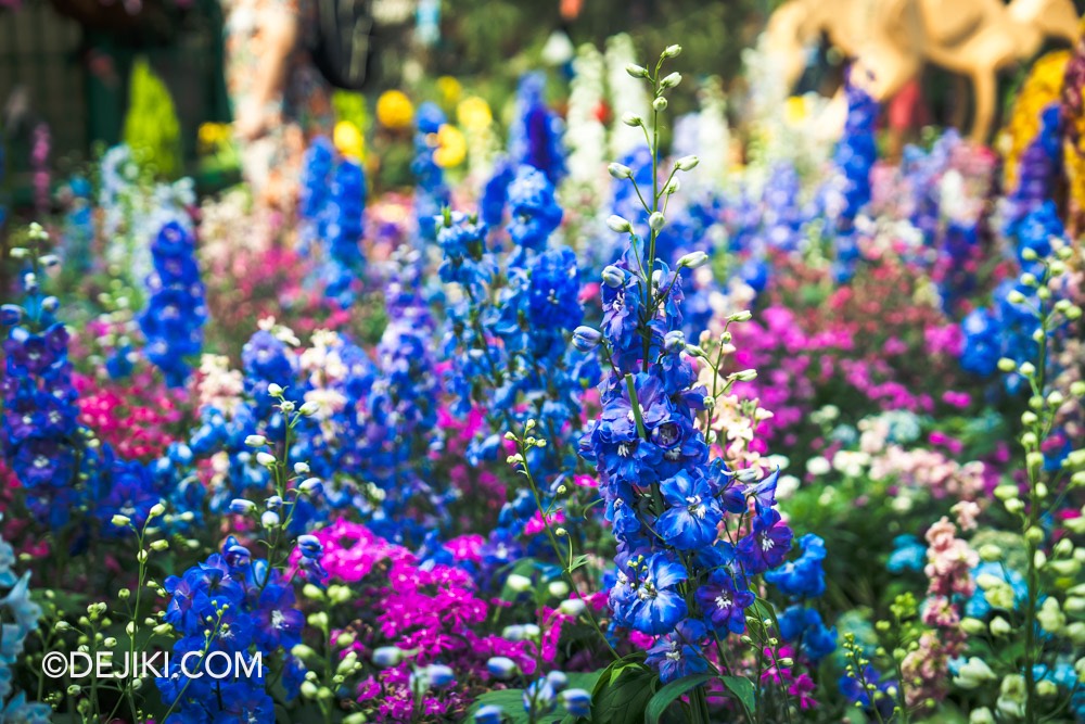 Gardens by the Bay Carnival of Flowers Australian Themed Floral Display 8 Blue delphiniums