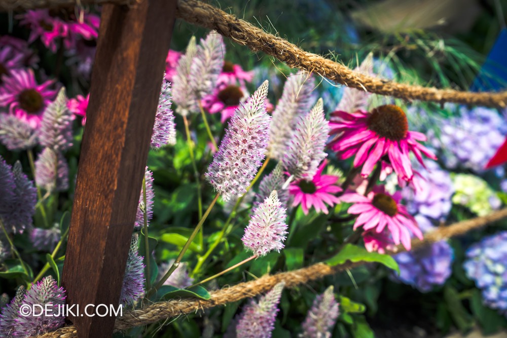 Gardens by the Bay Carnival of Flowers Australian Themed Floral Display 8 Flower close up Pink mulla mulla Ptilotus exaltatus among others