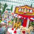 Gardens by the Bay Carnival of Flowers sq1