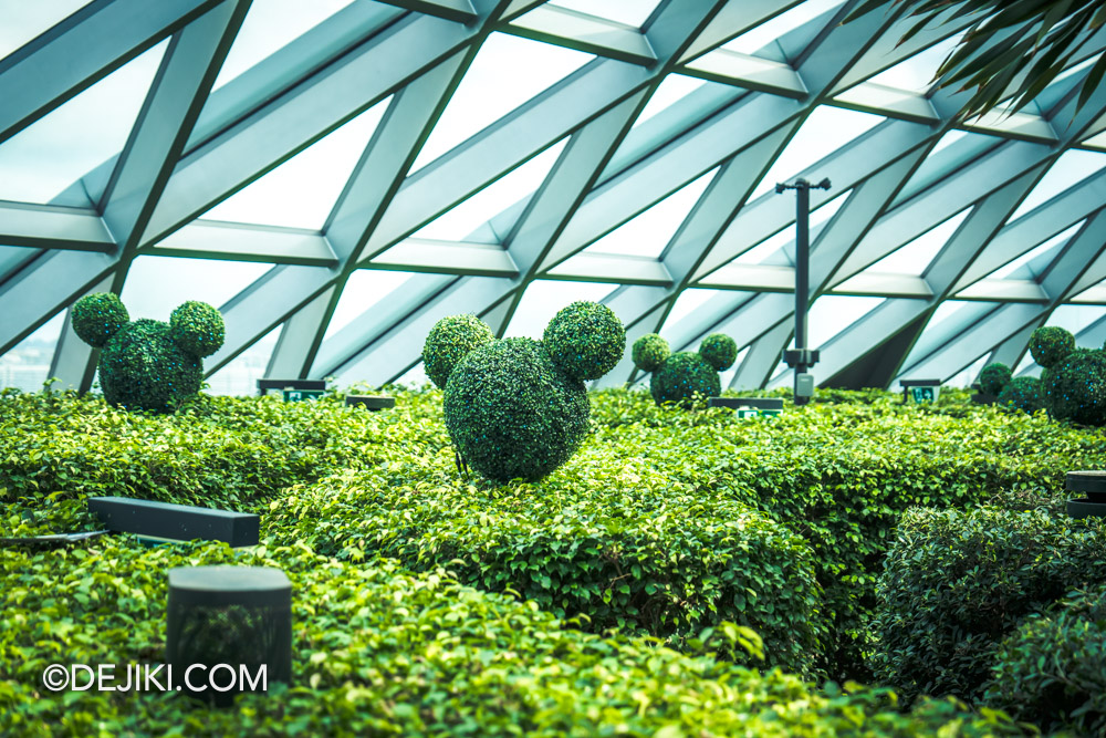 Disney Cruise Line event at Changi Airport Adventure Quest Hedge Maze Inspired by Disney Imagination Garden Mickey Mouse Topiary