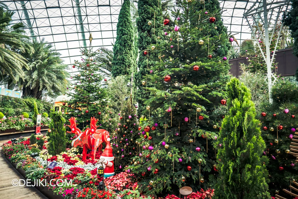 Gardens by the Bay 2024 Christmas Train Show Flower Field Back Lane Reindeer and Trees