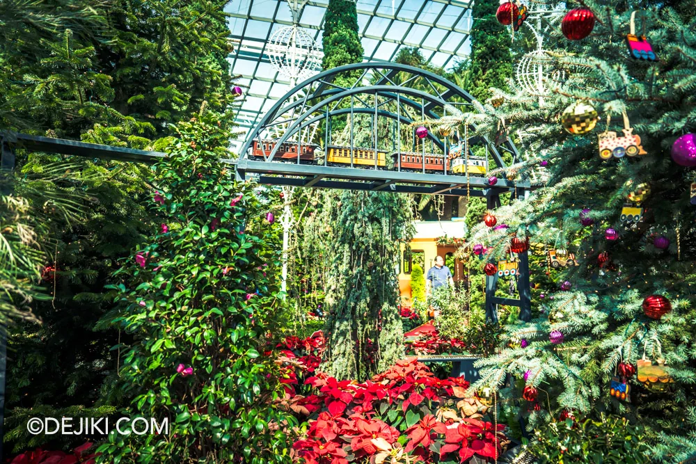 Gardens by the Bay 2024 Christmas Train Show Flower Field Garden Railroading Train Closeup 4