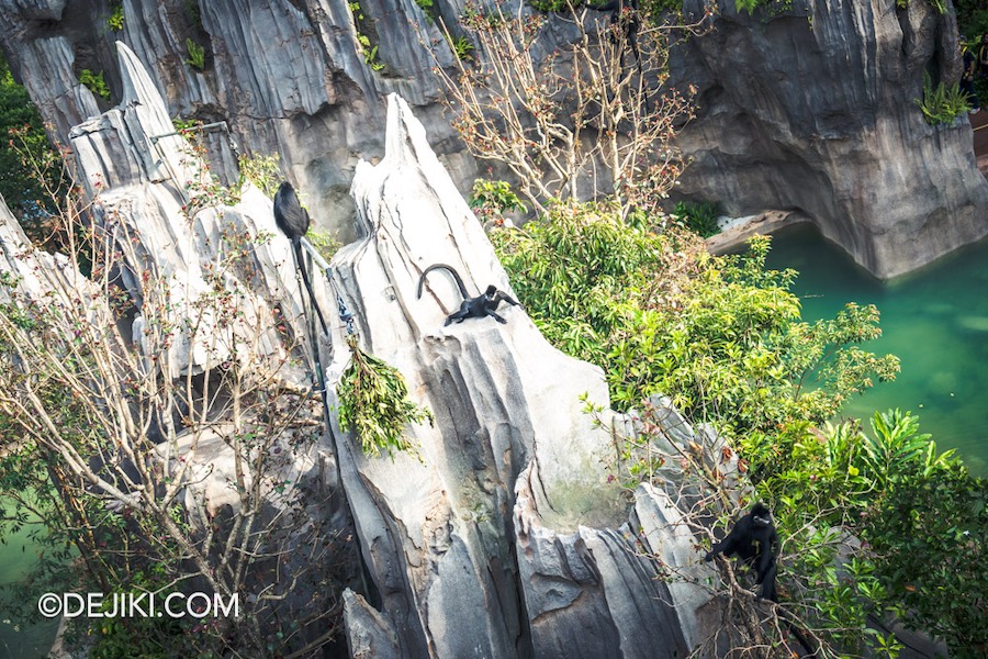 Rainforest Wild Asia at Mandai Singapore 10 Francois langur on mountain landscape