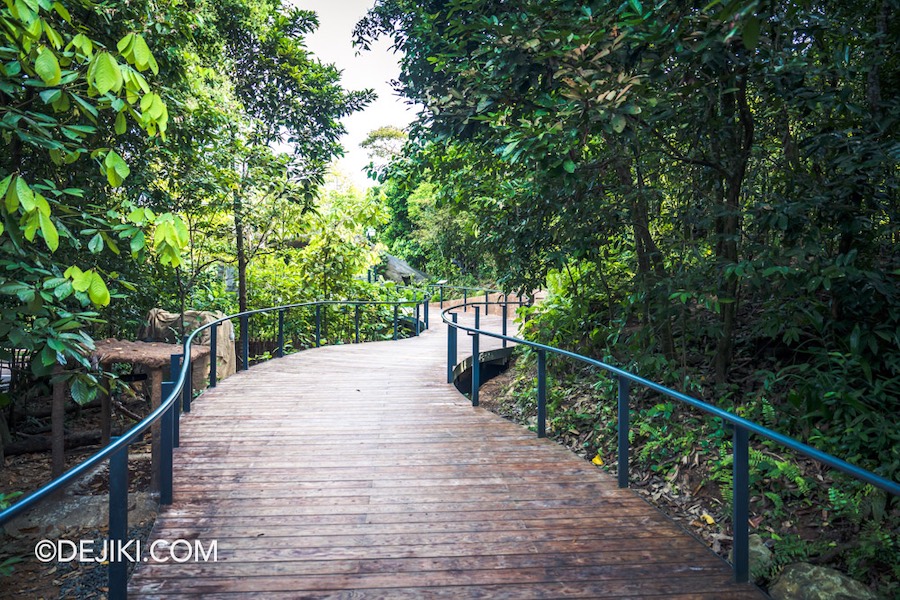 Rainforest Wild Asia at Mandai Singapore 21 Forest Floor open walkways