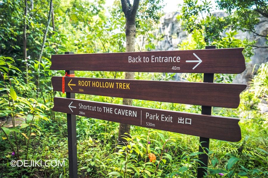 Rainforest Wild Asia at Mandai Singapore 23 Root Hollow Trek route