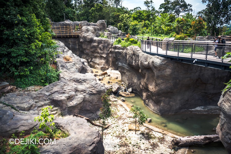 Rainforest Wild Asia at Mandai Singapore 25 Rock Cascade Malayan Tiger