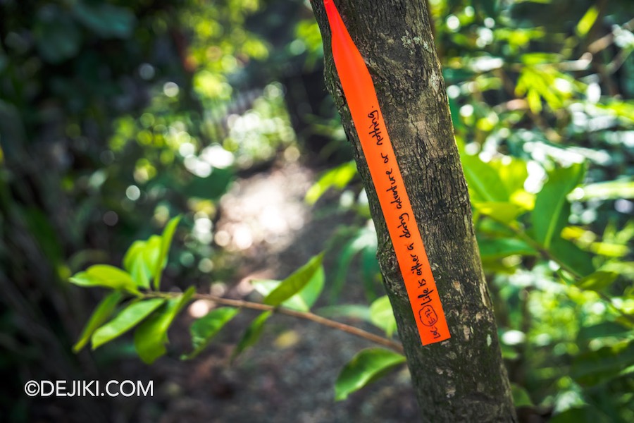 Rainforest Wild Asia at Mandai Singapore 25 Trek Point Orange Ribbons