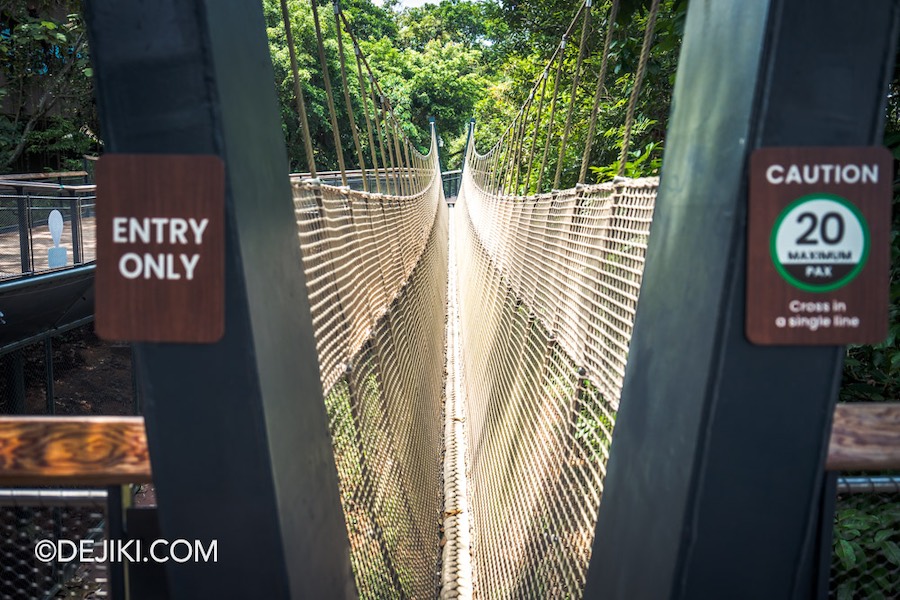 Rainforest Wild Asia at Mandai Singapore 29 Burma Bridge near The Canopy Rock Cascades area