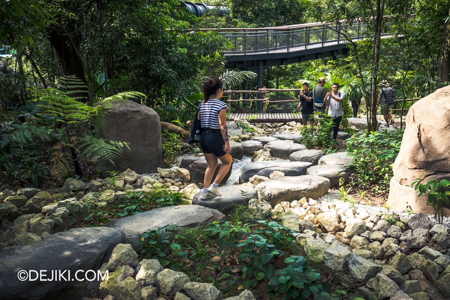 Rainforest Wild Asia at Mandai Singapore 34 Stream Treks around Watering Hole zone