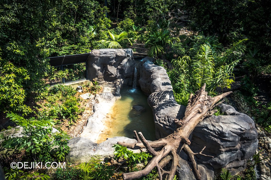 Rainforest Wild Asia at Mandai Singapore 36 Watering Hole Stream Treks