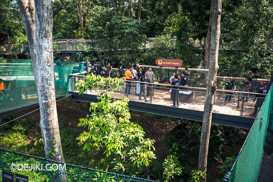 Rainforest Wild Asia at Mandai Singapore 39 AIA Vitality Bounce overview