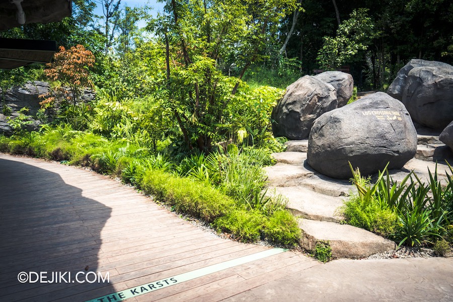 Rainforest Wild Asia at Mandai Singapore 4 Entrance Gorge Path choices to The Karsts