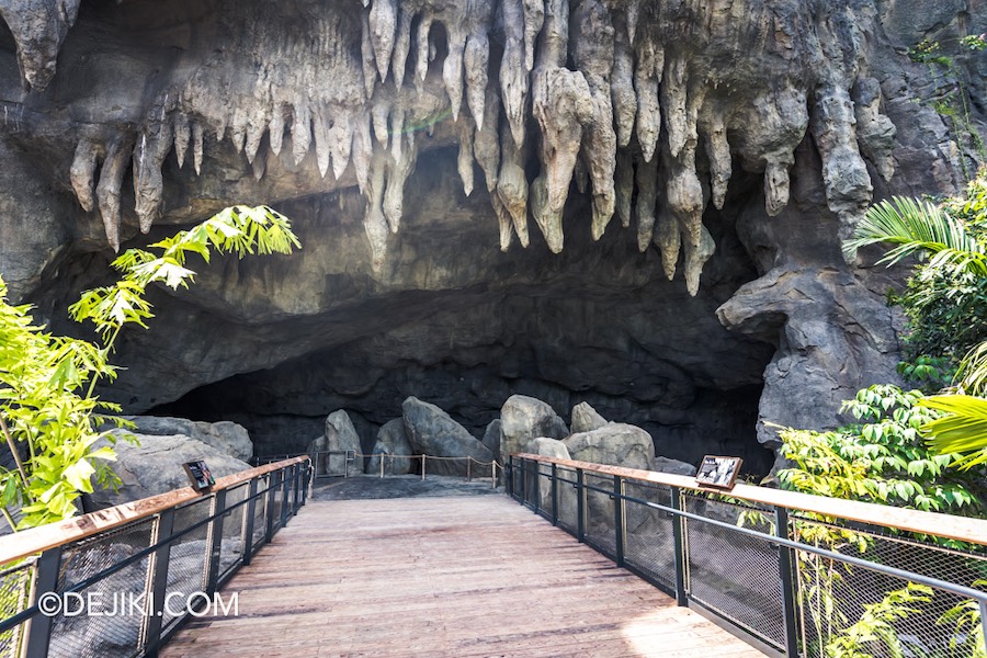 Rainforest Wild Asia at Mandai Singapore 41 The Cavern