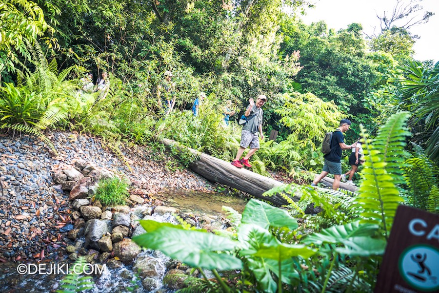 Rainforest Wild Asia at Mandai Singapore 7 Walking on logs at Log Crossing Trek