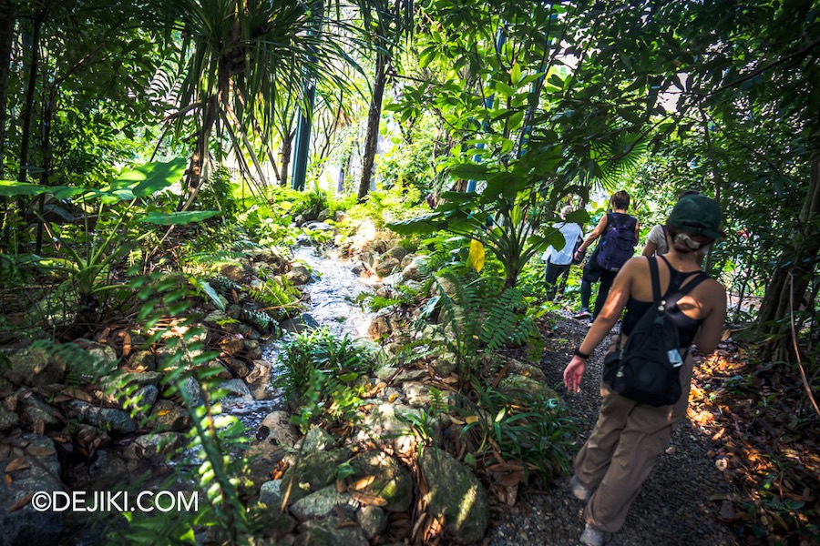 Rainforest Wild Asia at Mandai Singapore 8 Walking in the jungle for Trek option