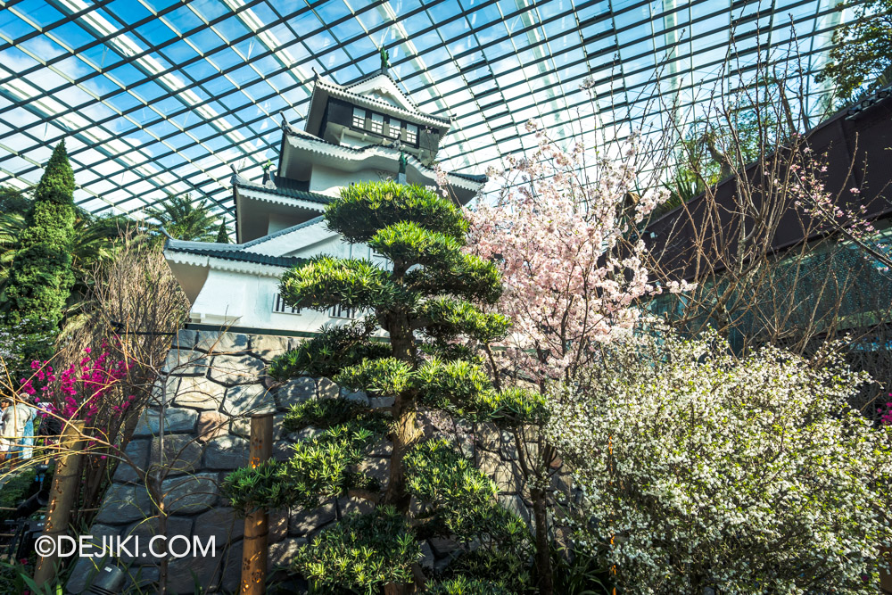 Gardens by the Bay Sakura 2025 Day Viewing 10 Kokura Castle back