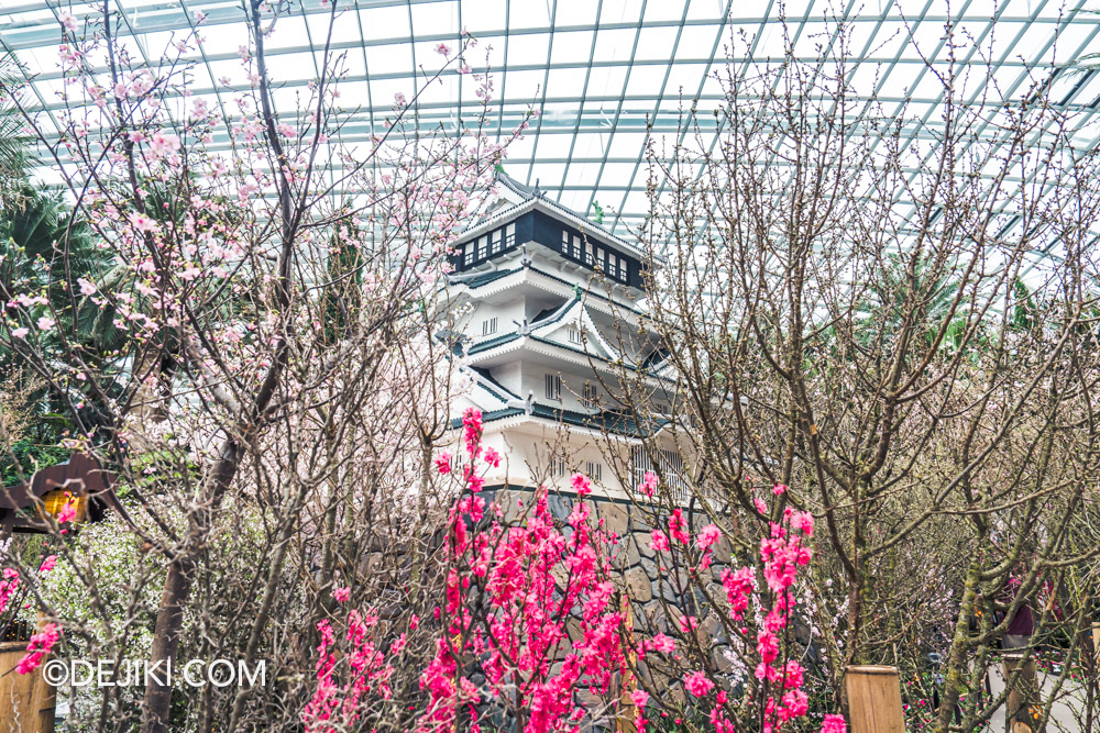 Gardens by the Bay Sakura 2025 Launch Day Kokura Castle Side