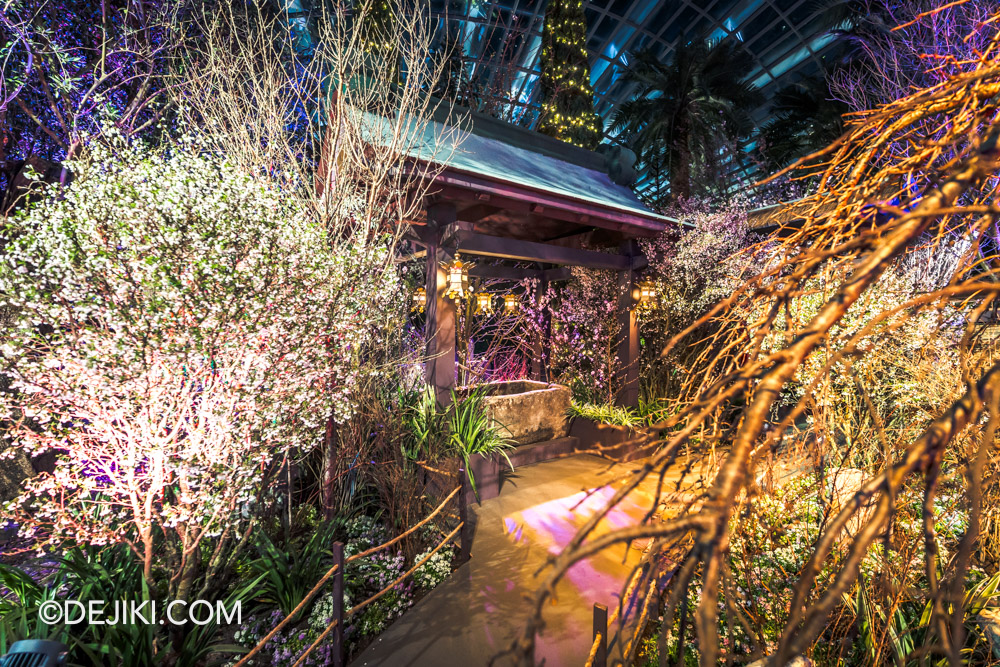 Gardens by the Bay Sakura 2025 Yozakura Night Sakura Viewing 8 Shrine Water