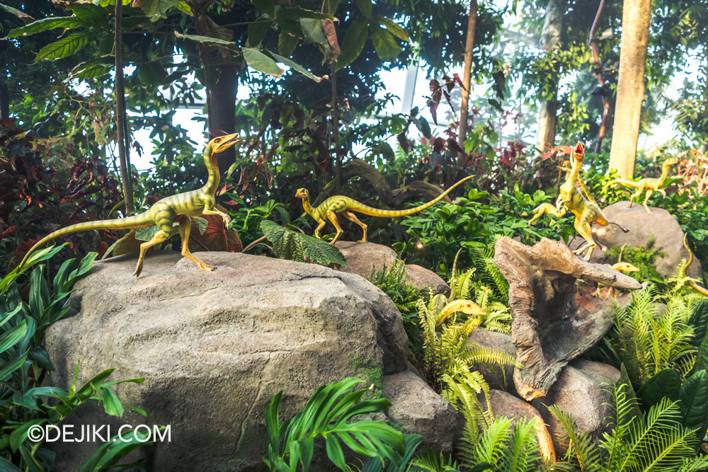 Cloud Forest Jurassic World The Experience at Gardens by the Bay 3 Compsognathus Pack