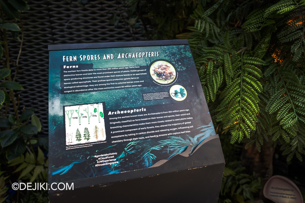Cloud Forest Jurassic World The Experience at Gardens by the Bay 7 Evolution Walk closeup 2