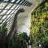 Gardens by the Bay Jurassic World The Experience sq3brach