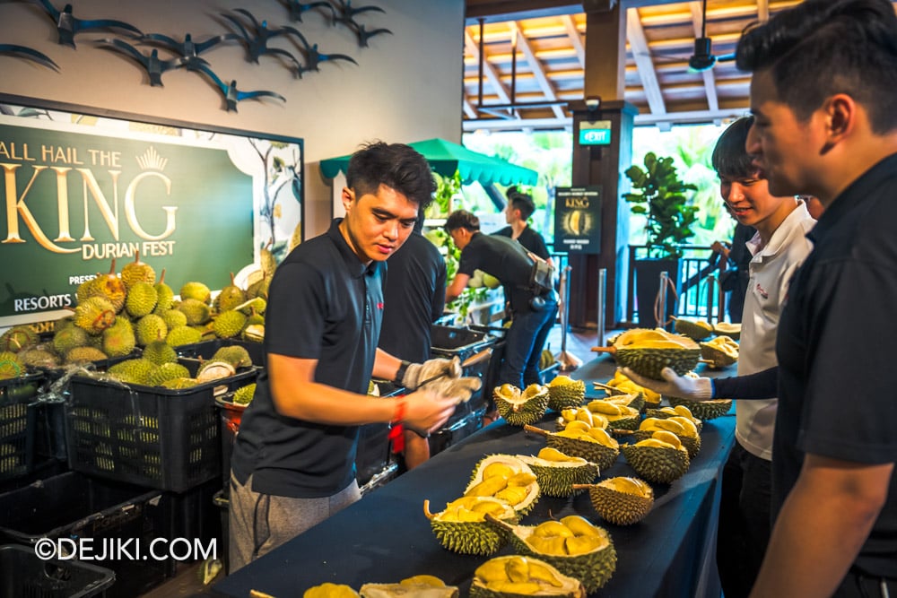All Hail The King Durian Fest 2025 at Resorts World Sentosa Picking Durians during 90 min Buffet