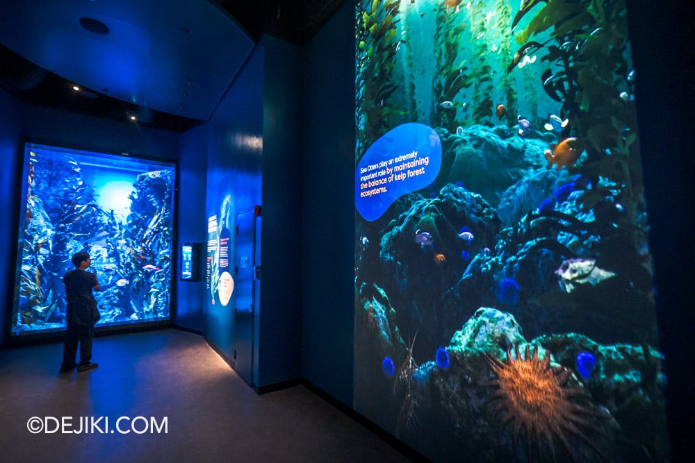RWS Singapore Oceanarium Photo Tour 10 Kelp Forest with new Projection exhibit