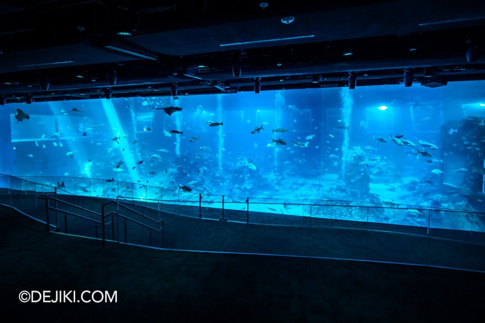 RWS Singapore Oceanarium Photo Tour 11 Open Ocean Habitat viewing galleries