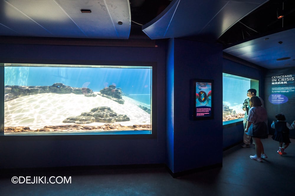 RWS Singapore Oceanarium Photo Tour 14 Dolphin Island viewing gallery