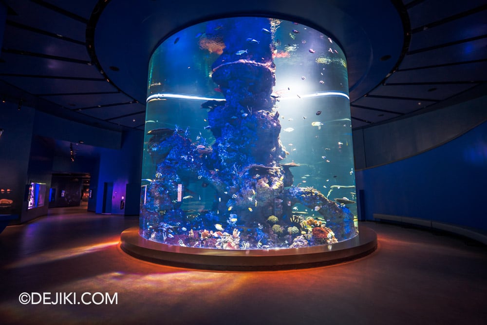 RWS Singapore Oceanarium Photo Tour 15 Benthos Coral Garden Column