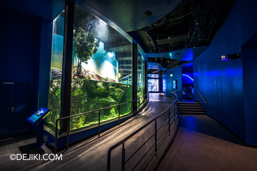 RWS Singapore Oceanarium Photo Tour 15 Benthos ramp