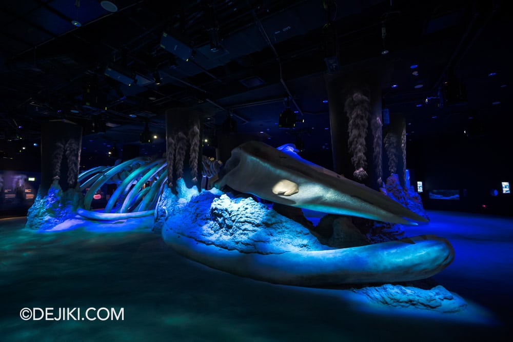 RWS Singapore Oceanarium Photo Tour 19 Whale Fall and Seamount