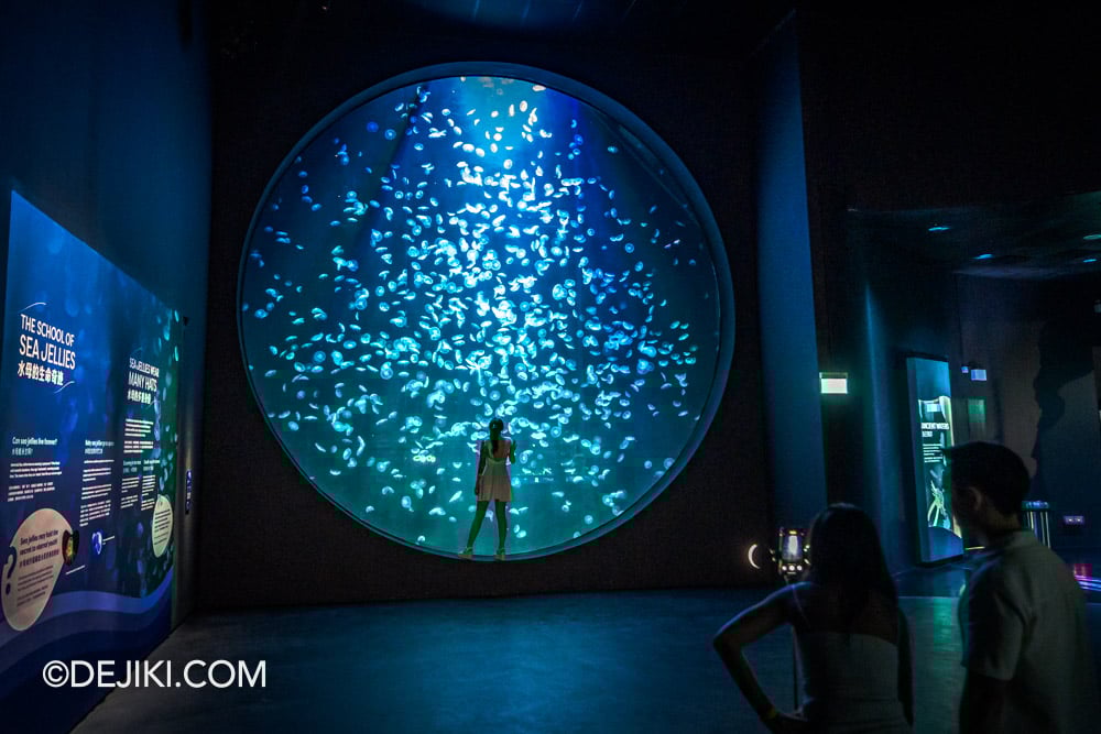 RWS Singapore Oceanarium Photo Tour 2 Ocean Wonders Giant round Kreisel habitat Photo Op