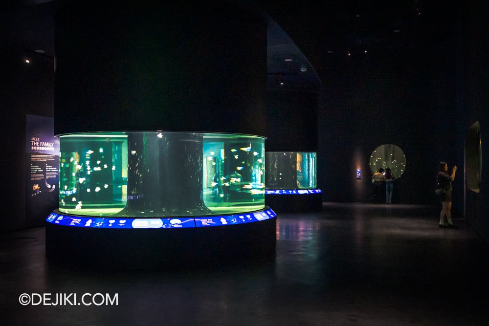 RWS Singapore Oceanarium Photo Tour 2 Ocean Wonders Overview