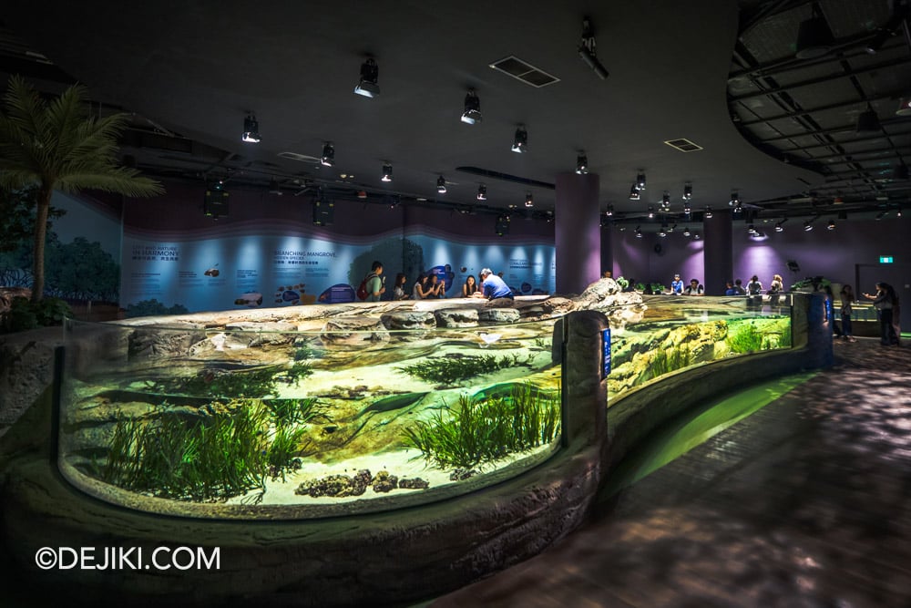 RWS Singapore Oceanarium Photo Tour 6 Singapore's Coast overview