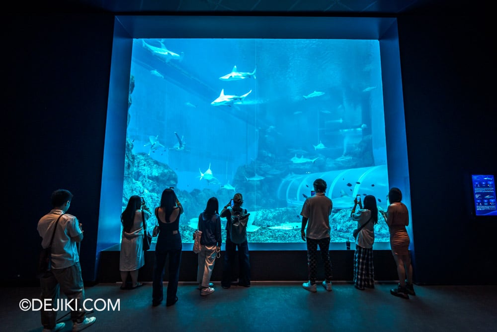 RWS Singapore Oceanarium Photo Tour 7 Shark Seas