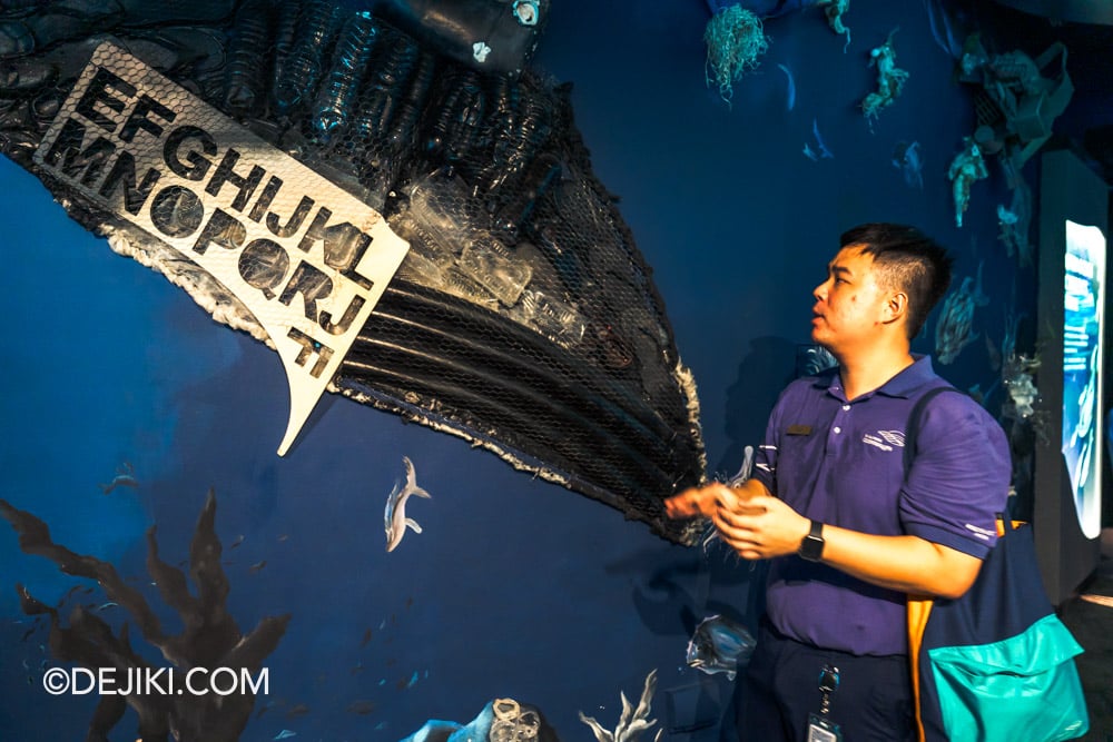 Singapore Oceanarium Animal Spotlight Manta Rays Immersive Programme Learning about Care for Marine Animals
