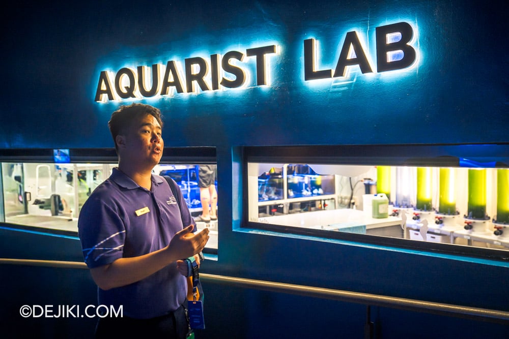 Singapore Oceanarium Animal Spotlight Manta Rays Immersive Programme Quick Stop at Aquarist Lab to learn about plankton preparation