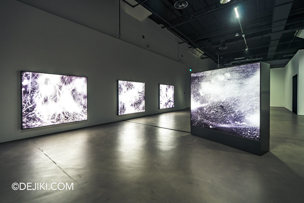 Singapore Biennale 2025 Photo Tour - Gallery 1 at SAM at Tanjong Pagar Distripark Blowing in the Wind by Fiona Amundsen Singapore Biennale 2025 Photo Tour Gallery 1 at SAM at Tanjong Pagar Distripark Blowing in the Wind by Fiona Amundsen