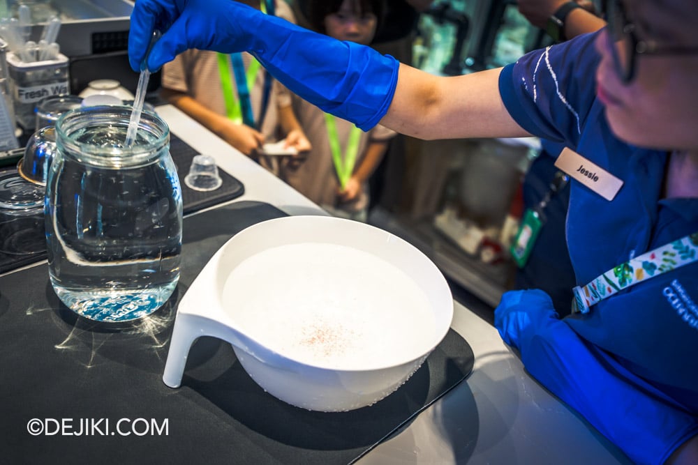 Singapore Oceanarium Animal Spotlight Sea Jellies Immersive Programme Aquarist transfering sea jellies manually