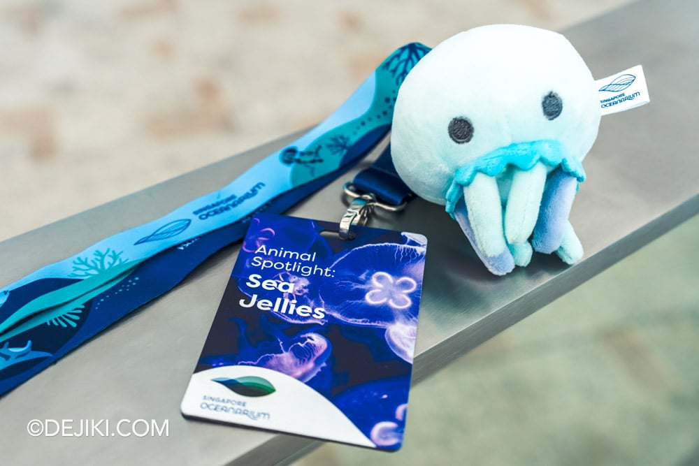 Singapore Oceanarium Animal Spotlight Sea Jellies Immersive Programme World Sea Jelly Day exclusive Sea Jelly Plush and Lanyard Set