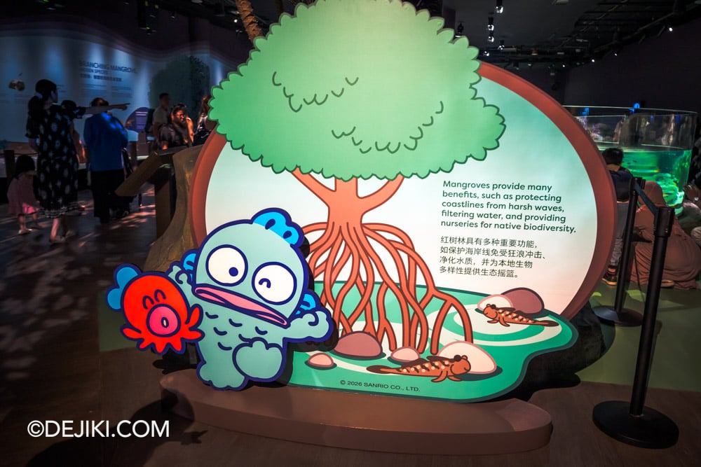 Singapore Oceanarium Hangyodon Marine Discovery event - Installation and Education Panel at Singapore's Coast zone Singapore Oceanarium Hangyodon Marine Discovery event Installation and Education Panel at Singapores Coast zone