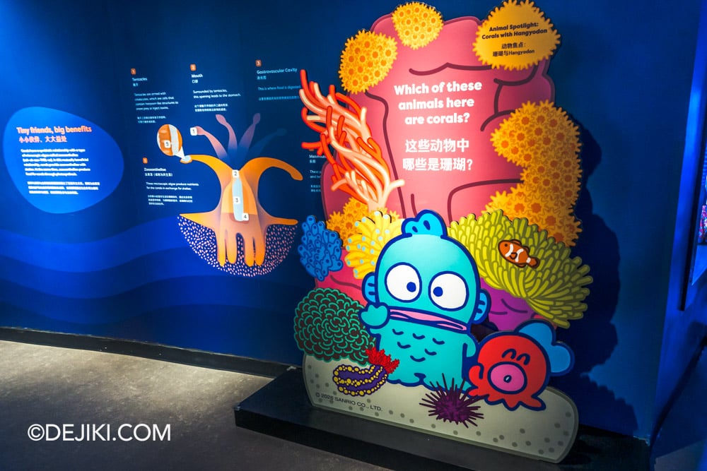 Singapore Oceanarium Hangyodon Marine Discovery event - Installation at Coral Garden Singapore Oceanarium Hangyodon Marine Discovery event Installation at Coral Garden